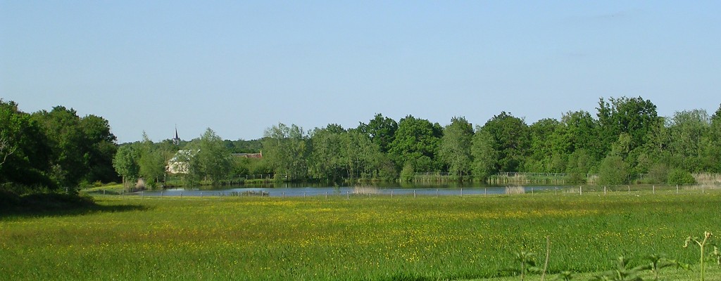 Nature verdoyante vers Migné