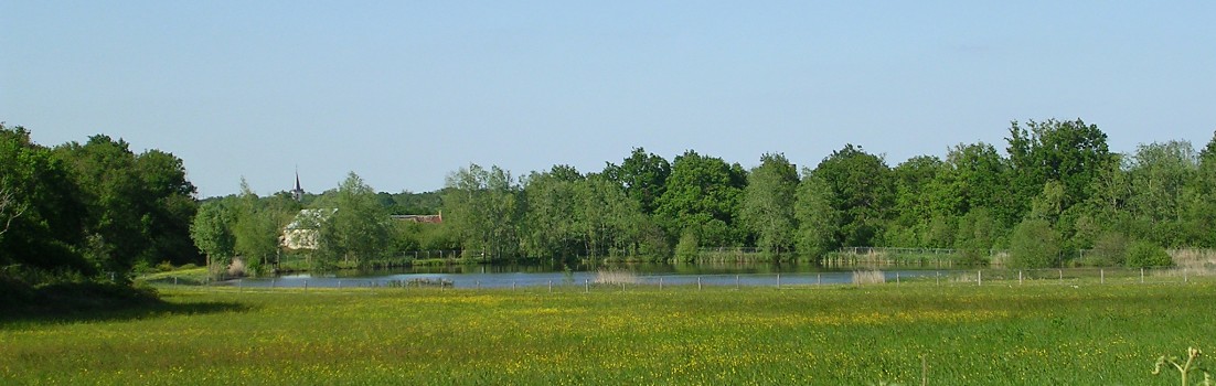 Nature verdoyante vers Migné