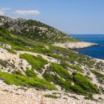 Près de la calanque de la Mounine