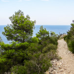 Sur le chemin entre deux calanques